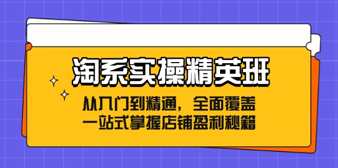 淘系实操精英班：从入门到精通，全面覆盖，一站式掌握店铺盈利秘籍|52搬砖-我爱搬砖网