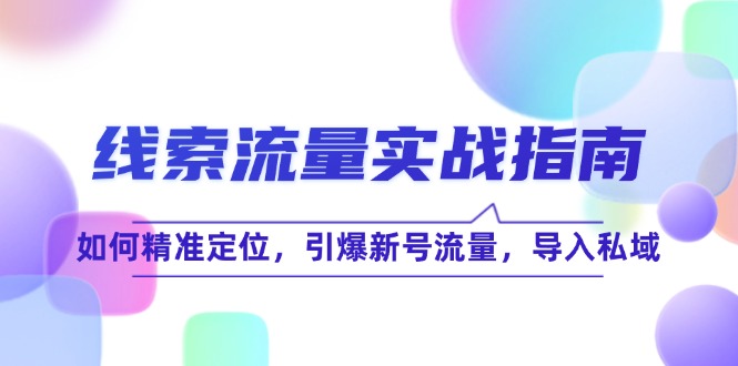 线 索 流 量-实战指南：如何精准定位，引爆新号流量，导入私域|52搬砖-我爱搬砖网