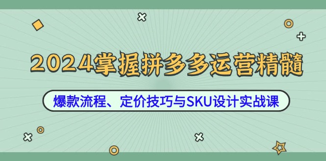 2024掌握拼多多运营精髓：爆款流程、定价技巧与SKU设计实战课|52搬砖-我爱搬砖网