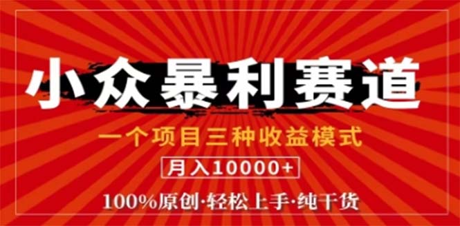 视频号最新爆火赛道，三种可收益模式，0粉新号条条原创条条热门 日入1000+|52搬砖-我爱搬砖网