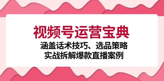 视频号运营宝典：涵盖话术技巧、选品策略、实战拆解爆款直播案例|52搬砖-我爱搬砖网