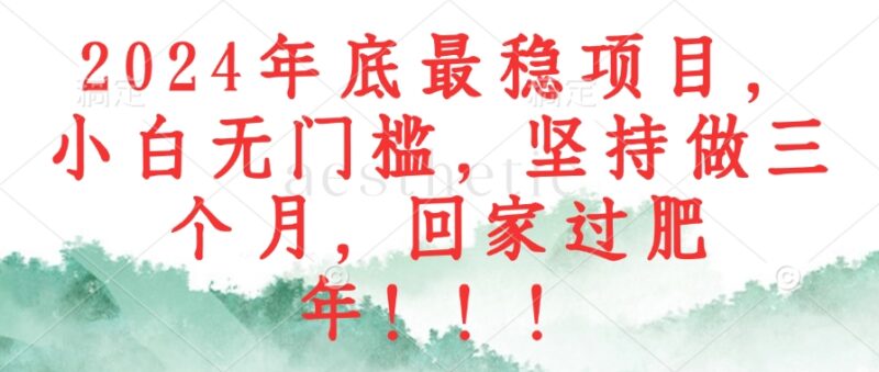 2024年底最稳项目,小白无门槛,坚持做三个月,回家过肥年!!!|52搬砖-我爱搬砖网