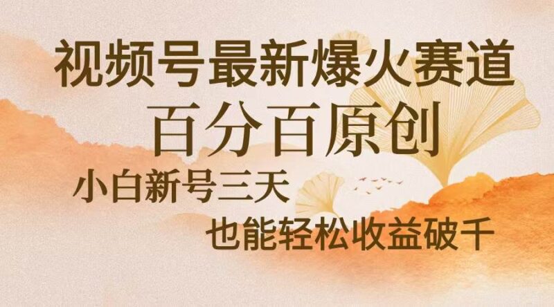 视频号最新爆火赛道,中老年粉深信不疑,百分百原创,新号三天收益轻松…|52搬砖-我爱搬砖网