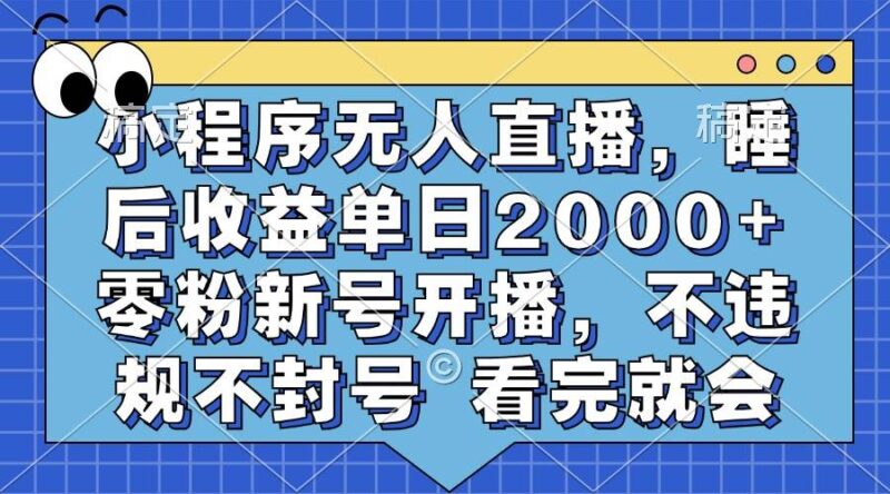 小程序无人直播，睡后收益单日2000+ 零粉新号开播，不违规不封号 看完就会|52搬砖-我爱搬砖网