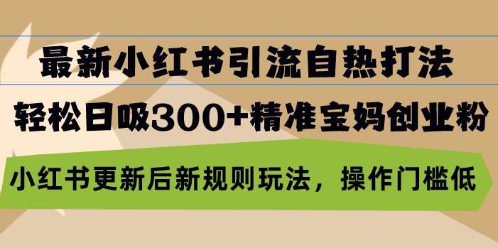 最新小红书引流自热打法，轻松日吸300+精准宝妈创业粉，小红书更新后新…|52搬砖-我爱搬砖网