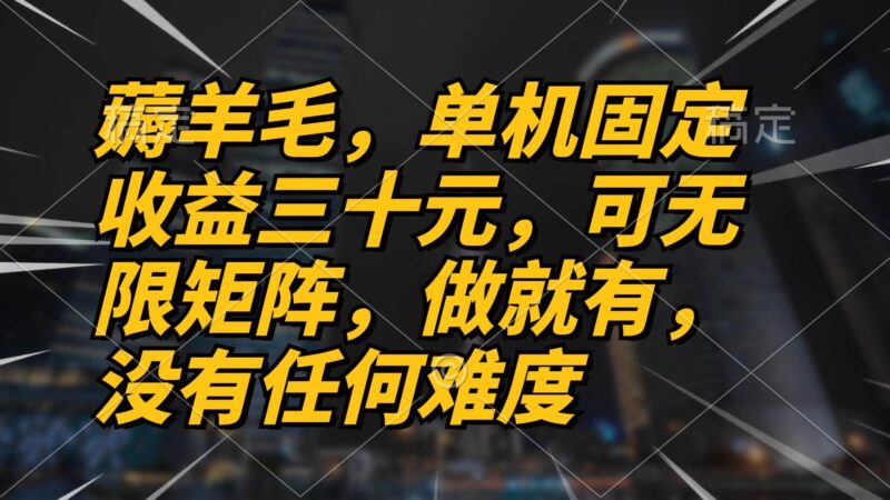 薅羊毛项目，单机三十元，做就有，可无限矩阵 无任何难度|52搬砖-我爱搬砖网