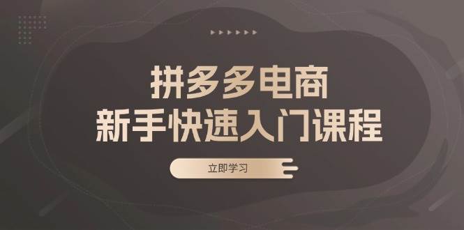 拼多多电商新手快速入门课程：涵盖基础、实战与选款，助力小白轻松上手|52搬砖-我爱搬砖网