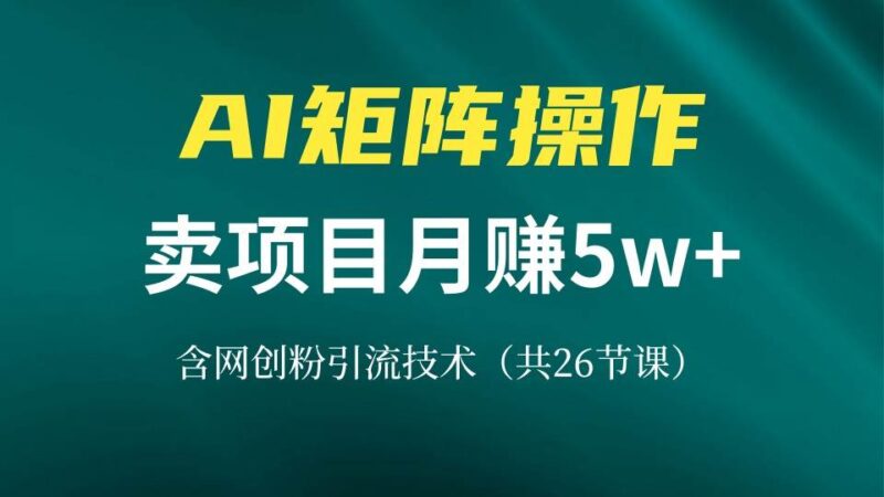 网创IP打造课,借助AI卖项目月赚5万+,含引流技术|52搬砖-我爱搬砖网