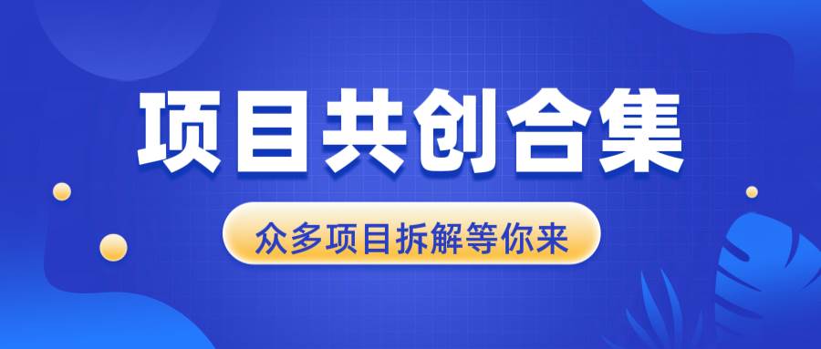 项目共创合集，从0-1全过程拆解，让你迅速找到适合自已的项目|52搬砖-我爱搬砖网