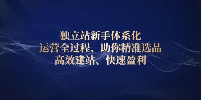 独立站新手体系化 运营全过程，助你精准选品、高效建站、快速盈利|52搬砖-我爱搬砖网