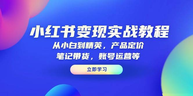 小红书变现实战教程：从小白到精英，产品定价，笔记带货，账号运营等|52搬砖-我爱搬砖网