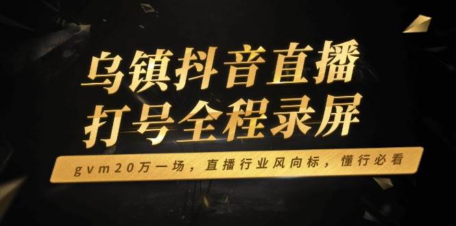 乌镇抖音直播打号全程录屏，gvm20万一场，直播行业风向标，懂行必看|52搬砖-我爱搬砖网