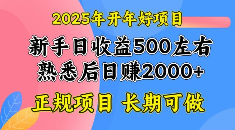 2025开年好项目，单号日收益2000左右|52搬砖-我爱搬砖网