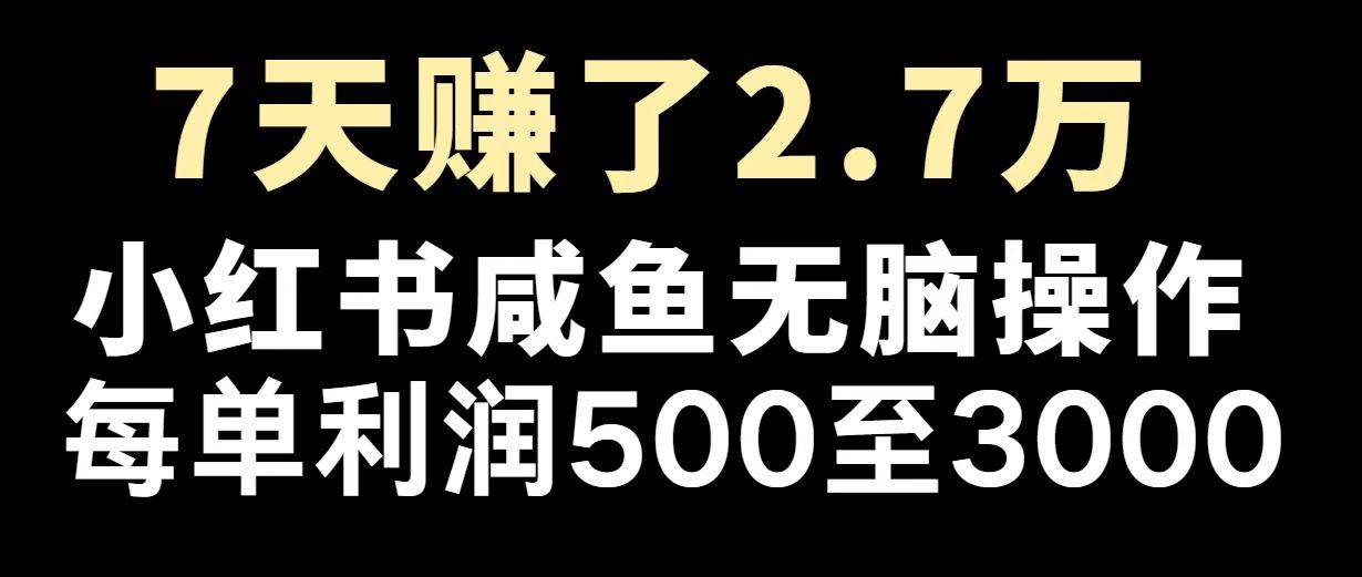 最赚钱项目之一，2025爆火，逆风翻盘！|52搬砖-我爱搬砖网