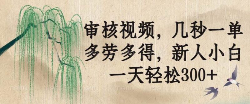 审核视频,几秒一单,多劳多得,新人小白一天轻松300+|52搬砖-我爱搬砖网