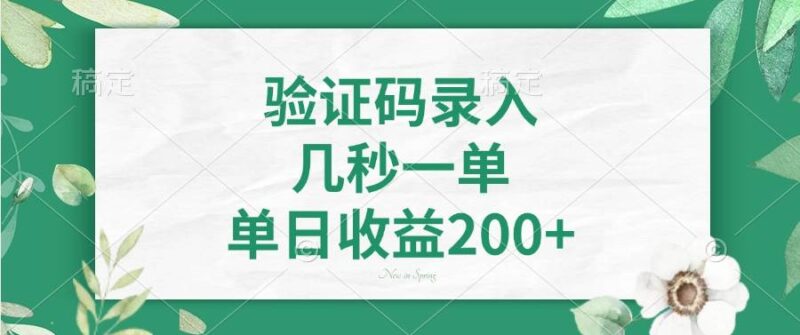 验证码录入，几秒一单，单日收益200+|52搬砖-我爱搬砖网