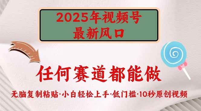 2025年视频号新风口，低门槛只需要无脑执行|52搬砖-我爱搬砖网