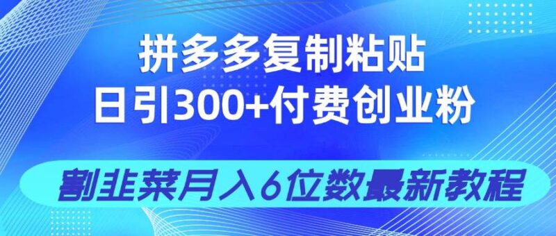 拼多多复制粘贴日引300+付费创业粉,割韭菜月入6位数最新教程!|52搬砖-我爱搬砖网