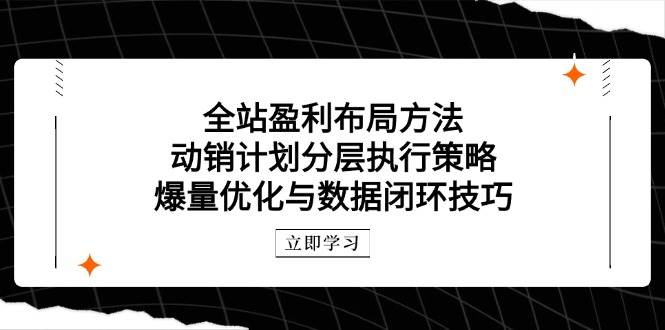 全站盈利布局方法：动销计划分层执行策略，爆量优化与数据闭环技巧|52搬砖-我爱搬砖网