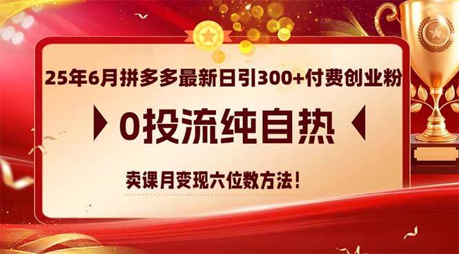 25年6月拼多多最新日引300+付费创业粉，0投流纯自热 卖课月变现六位数方法|52搬砖-我爱搬砖网