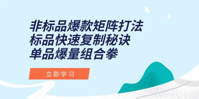 非标品爆款矩阵打法，标品快速复制秘诀，单品爆量组合拳|52搬砖-我爱搬砖网