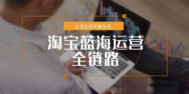 淘宝蓝海运营全链路，从选品到流量变现，小类目突围完整方案|52搬砖-我爱搬砖网