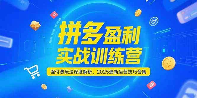 拼多多盈利实战训练营，强付费玩法深度解析，2025最新运营技巧合集|52搬砖-我爱搬砖网