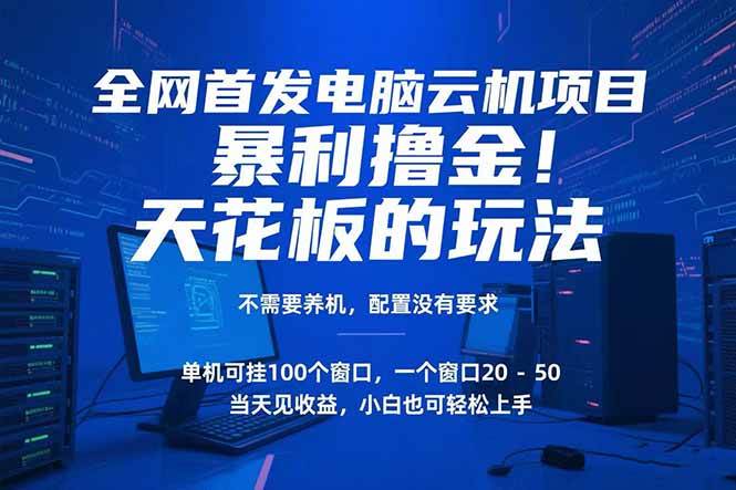 电脑云机项目 暴力撸金玩法，不需要养机 配置没有要求 单机100个窗口一…|52搬砖-我爱搬砖网