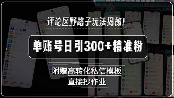 评论区野路子玩法揭秘！单账号日引300+精准粉，附赠高转化私信模板，直…|52搬砖-我爱搬砖网