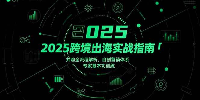 2025跨境出海实战指南，并购全流程解析，自创营销体系，专家基本功训练|52搬砖-我爱搬砖网