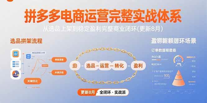 拼多多电商运营完整实战体系，从选品上架到稳定盈利完整商业闭环(更新8月)|52搬砖-我爱搬砖网