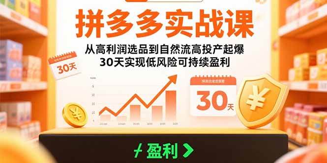 拼多多实战课：从高利润选品到自然流高投产起爆 30天实现低风险可持续盈利|52搬砖-我爱搬砖网