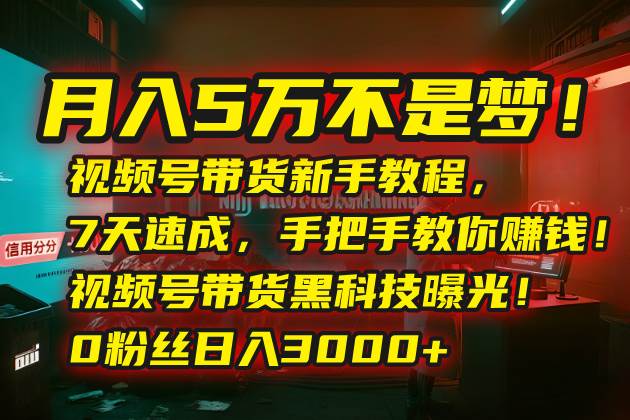 月入5万不是梦！视频号带货新手教程，7天速成，手把手教你赚钱！视频号…|52搬砖-我爱搬砖网