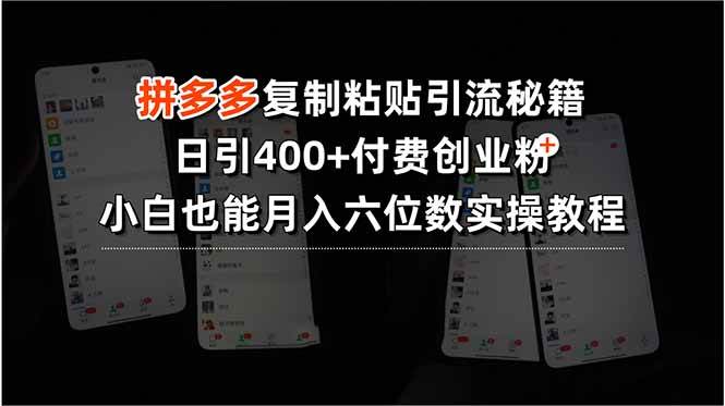 拼多多复制粘贴引流秘籍，日引400+付费创业粉，小白也能月入六位数实操…|52搬砖-我爱搬砖网