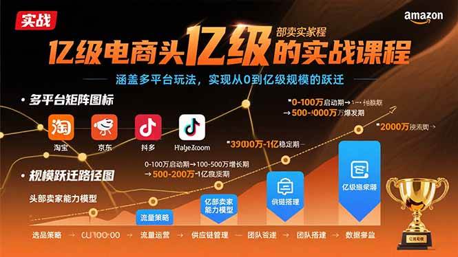 亿级电商头部卖家的实战课程：涵盖多平台玩法，实现从0到亿级规模的跃迁|52搬砖-我爱搬砖网