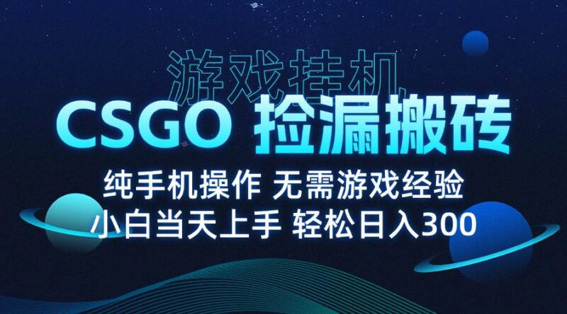 8月最新游戏搬砖,CSGO纯挂机,不需要玩游戏,实现真挂机,月入1W+|52搬砖-我爱搬砖网