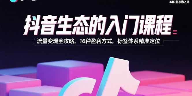 抖音生态的入门课程:流量变现全攻略,16种盈利方式,标签体系精准定位|52搬砖-我爱搬砖网