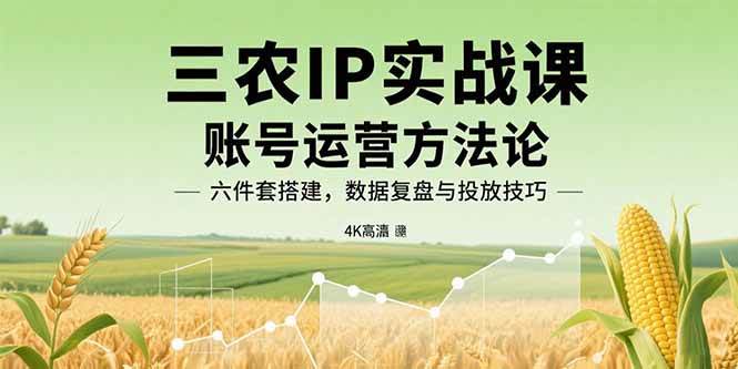 三农IP实战课：账号运营方法论，六件套搭建，数据复盘与投放技巧|52搬砖-我爱搬砖网