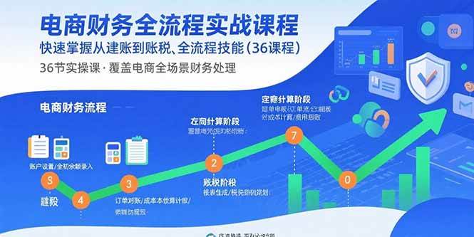 电商财务全流程实战课程：快速掌握从建账到报税的全流程技能|52搬砖-我爱搬砖网