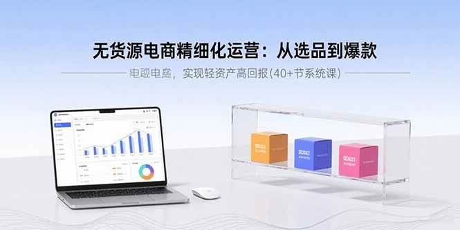 无货源电商精细化运营：从选品到爆款，实现轻资产高回报(40+节系统课)|52搬砖-我爱搬砖网