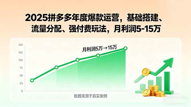 2025拼多多年度爆款运营，基础搭建、流量分配、强付费玩法，月利润5-15万|52搬砖-我爱搬砖网