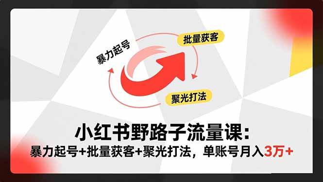 小红书野路子流量课:暴力起号+批量获客+聚光打法,单账号月入3万+|52搬砖-我爱搬砖网