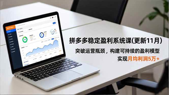 拼多多稳定盈利系统课(更新11月)，突破运营瓶颈，构建可持续的盈利模型，实现月均利润5万+|52搬砖-我爱搬砖网