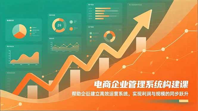电商企业管理系统构建课：帮助企业建立高效运营系统，实现利润与规模的同步跃升|52搬砖-我爱搬砖网