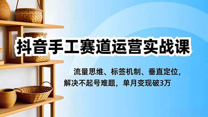 抖音手工赛道运营实战课，流量思维、标签机制、垂直定位，解决不起号难题，单月变现破3万|52搬砖-我爱搬砖网
