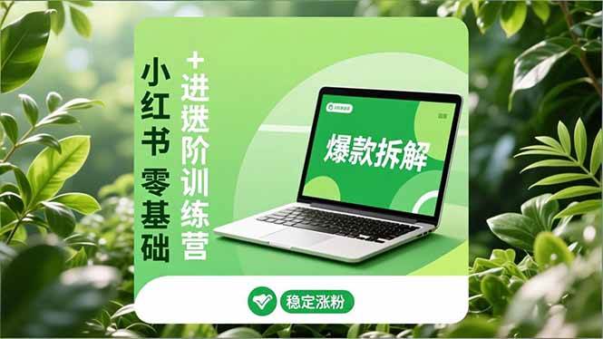 小红书零基础+高阶训练营:安全养号、爆款拆解、长效运营,实现稳定涨粉与变现|52搬砖-我爱搬砖网
