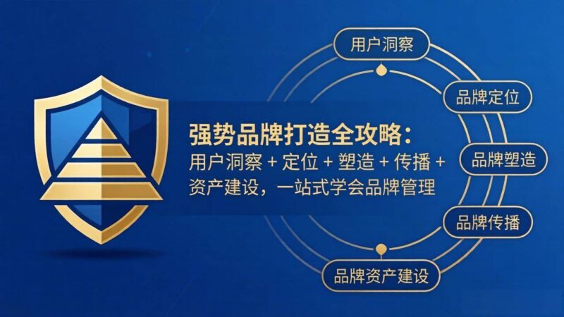 强势品牌打造全攻略:用户洞察 + 定位 + 塑造 + 传播 + 资产建设,一站式学会品牌管理|52搬砖-我爱搬砖网