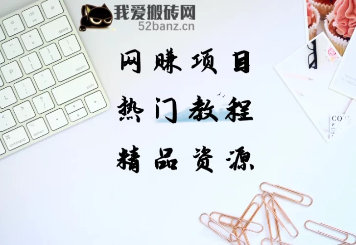 工头全网独家，这个玩法单账号日收益869.68，简单暴利，累计收益96654.89元？|52搬砖-我爱搬砖网