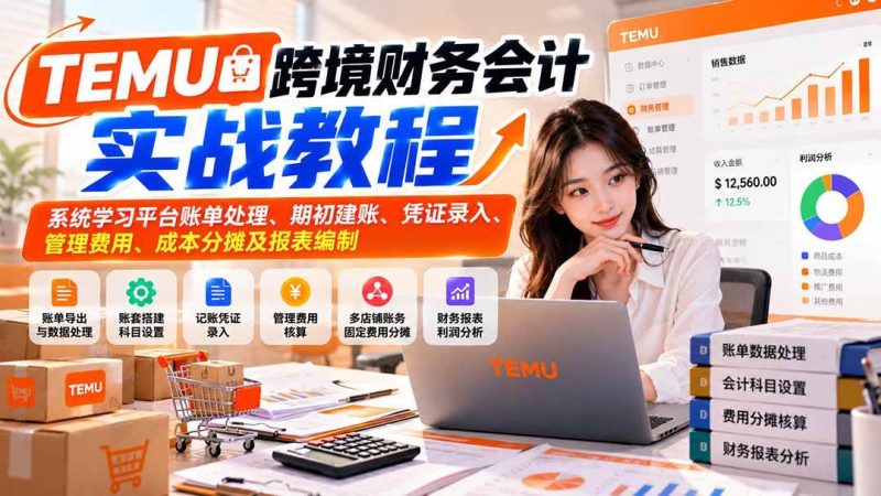 TEMU跨境财务会计实战教程：系统学习平台账单处理、期初建账、凭证录入、管理费用、成本分摊及报表编制|52搬砖-我爱搬砖网